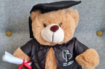 Graduation bears