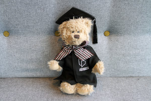Graduation bears