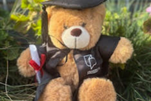 Load image into Gallery viewer, Graduation bears