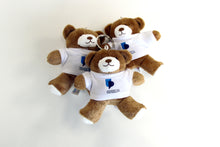 Load image into Gallery viewer, Keyring Bear