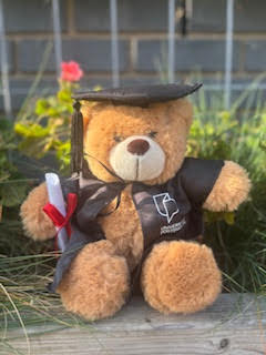 Graduation bears
